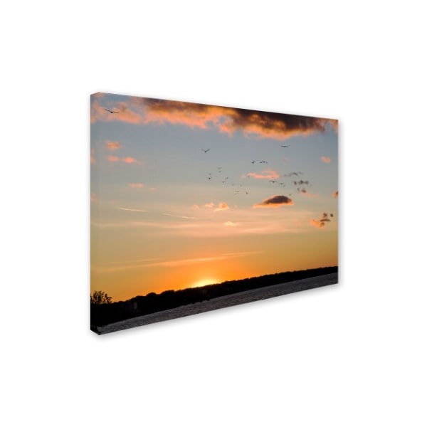 Kurt Shaffer 'Seagull Sunset' Canvas Art,18x24